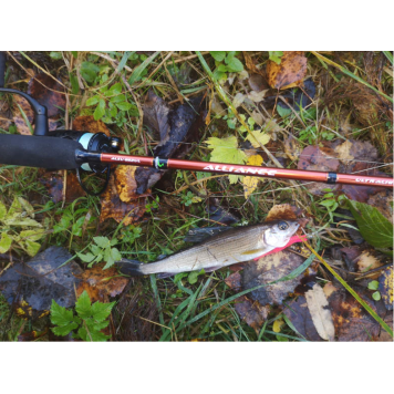 Спиннинг Norstream Alliance Light 662ULL 1.98м 2-10гр-3