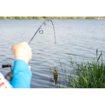 Спиннинг Norstream Spiker 732L 2.21м 2-10гр-3