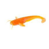 Виброхвост FishUp Catfish 3'' цвет 049 - Orange Pumpkin/Black
