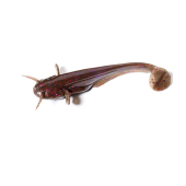 Виброхвост FishUp Catfish 2'' цвет 050 - Green Pumpkin Brown/Red & Purple
