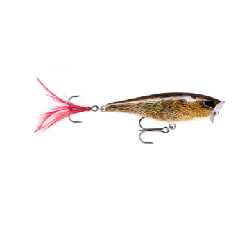 Воблер Rapala Skitter Pop 05 /FML