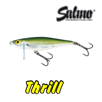 Воблер тонущий Salmo Thrill 50S, цвет OLB
