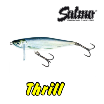 Воблер тонущий Salmo Thrill 70S, цвет RBL