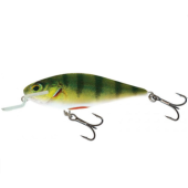 Воблер Salmo Executor 120F-SR цвет RPH