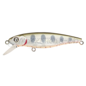 Воблер Pontoon21 GreedyGuts 55F-MDR цвет 404 