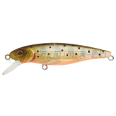Воблер Pontoon21 GreedyGuts 55F-MDR цвет 451